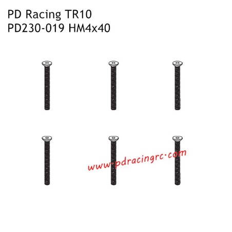 HM4x40 Flat Head Hex Screw PD230-019 Accessories for PD Racing TR10 Brushed Truggy