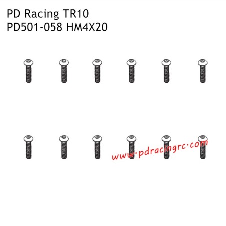 HM4x20 B Head Hex Screw  PD501-058 Accessories for PD Racing TR10 Brushed Truggy