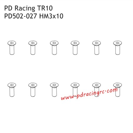 HM3X10 Flat Head Hex Screw  PD502-027 Accessories for PD Racing TR10 Brushed Truggy