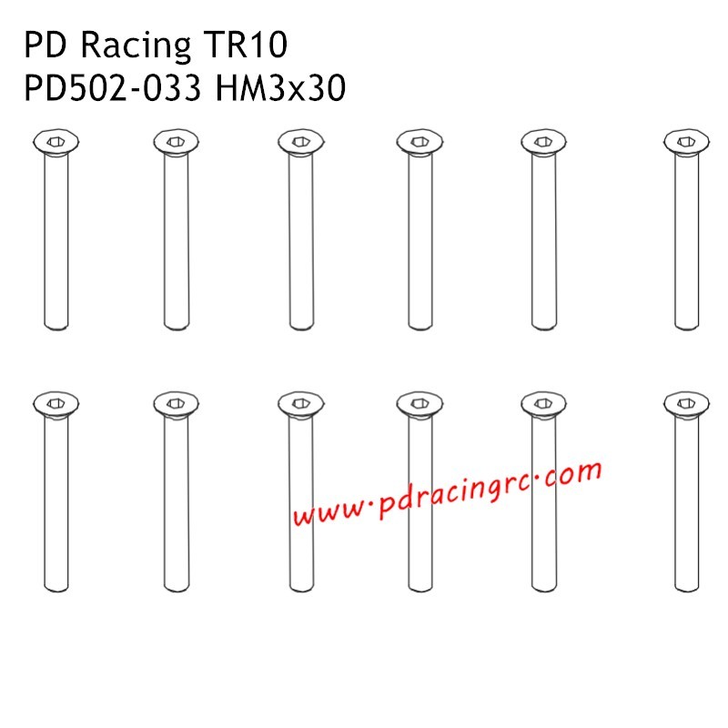 HM3x30 Fat Head Hex Screw PD502-033 Accessories for PD Racing TR10 Brushed Truggy