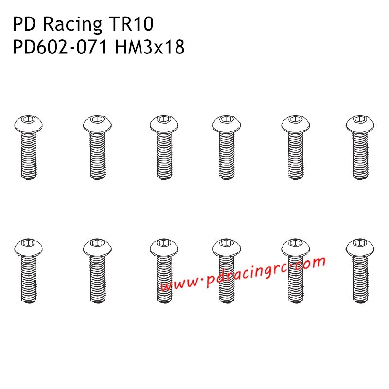 HM3x18 B Head Hex Screw PD602-071 Accessories for PD Racing TR10 Brushed Truggy