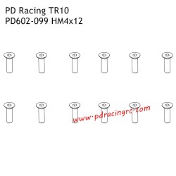 HM4x12 Flat Head Hex Screw PD602-099 Accessories for PD Racing TR10 Brushed Truggy